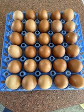 Reusable lattice eggs for sale  GREAT YARMOUTH
