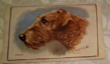 Airedale terrier artist for sale Airedale terrier artist for sale  SOLIHULL