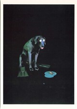 Dog frog photography for sale  Hot Springs Village