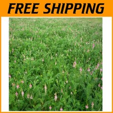 Lb. gmo free for sale  Egg Harbor Township