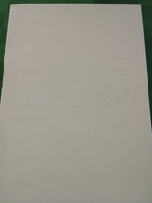 Dvd evangelion 3.0 usato  Chieti