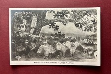 Antique halloween postcard for sale  Carmichael