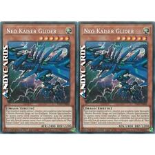 Neo kaiser glider usato  Ravenna