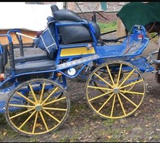 Kutsche marathonwagen gebraucht kaufen  Soest