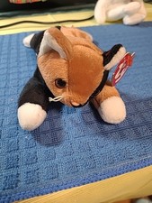 Beanie baby chip for sale  North Port