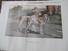 Gravures chien chasse d'occasion  Combs-la-Ville