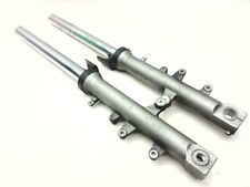 Coppia forcelle pair usato  Italia