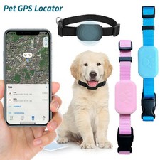 Pet cat dog for sale  UK