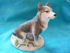 Charmstone siberian husky for sale  Burbank