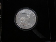Silber krügerrand 2019 gebraucht kaufen  Sandhausen