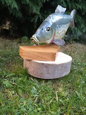 Fishing mirror carp for sale  PONTEFRACT