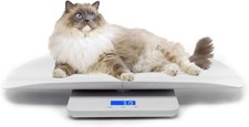 Mindpet med digital for sale  DONCASTER