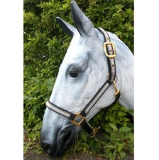 Halfter fancy western gebraucht kaufen  Schweinfurt