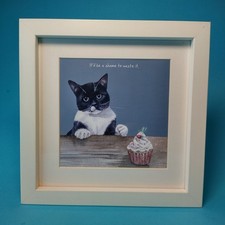 Digs manor cat for sale  PENRYN