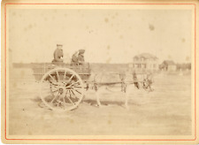 Carriole âne vintage d'occasion  Pagny-sur-Moselle