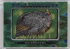 guinea fowl for sale guinea fowl for sale Auburn