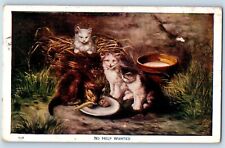 Animals postcard cat for sale  Terre Haute