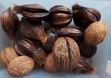 Exotische trockenfrüchte natu gebraucht kaufen  Deutschland
