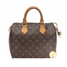 Borsa louis vuitton usato  Pisa