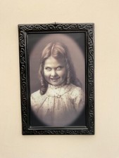 Halloween changing portraits for sale  LIVERPOOL