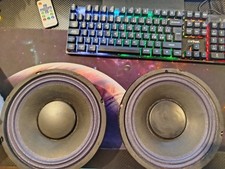 Coppia woofer pyramid usato  Cicagna