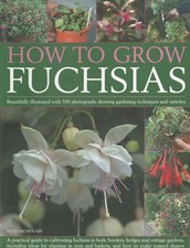 Grow fuchsias john for sale Grow fuchsias john for sale  UK