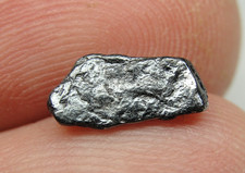 Seymchan pallasite pmg for sale  Hebron