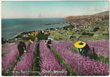 Sanremo imperia raccolta usato Sanremo imperia raccolta usato  Isola Vicentina