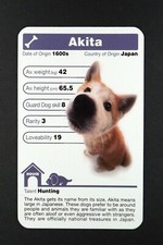 Info card akita for sale  EASTBOURNE