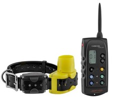 Pack collier dressage d'occasion  France