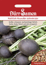 Winterrettich runder schwarzer gebraucht kaufen  Pulheim