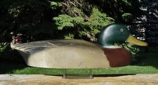 mallard decoys for sale mallard decoys for sale Romeo