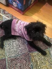 Eddie bauer dog for sale  Somerville