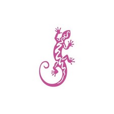 Salamandre autocollant sticker d'occasion  Billère