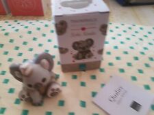 Meraviglioso koala con usato  Blufi