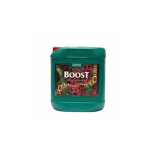 Canna boost accelerator usato  Roma