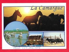 Cpsm camargue vues d'occasion  Brignais