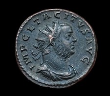 Aurelienus tacite tempo d'occasion Aurelienus tacite tempo d'occasion  Fagnières