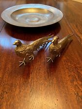 Pair ornamental pheasants for sale  HULL