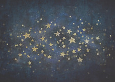 Kate backdrop fabric for sale  Glenville