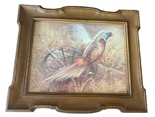 Pheasant hunting robert for sale  Roosevelt
