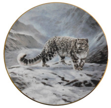 Snow leopard charles for sale  Belle Fourche