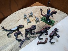 skinks for sale skinks for sale EDINBURGH