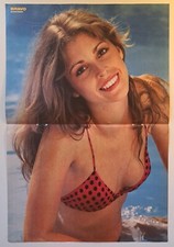 Kultiges poster seitig gebraucht kaufen  Hamburg