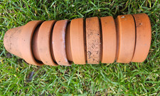 Small terracotta plant for sale  MILTON KEYNES