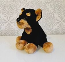 Rare suki doberman for sale  HOUGHTON LE SPRING