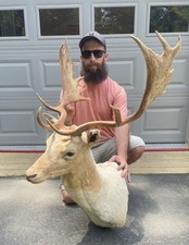 Dark vintage fallow for sale  Port Matilda