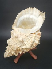 Giant 9.5 tutufa for sale  Los Angeles
