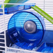 Hamster mouse gerbil for sale  GREAT YARMOUTH