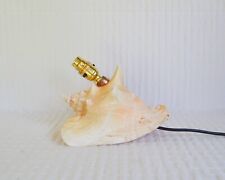 Vintage conch shell for sale  NOTTINGHAM